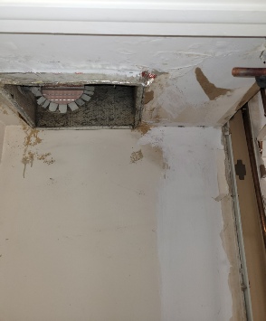Mold Inspections Near Me